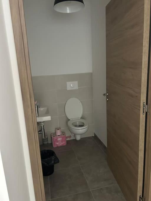 Appartement T3 Rez De Jardin リュクシアナ エクステリア 写真